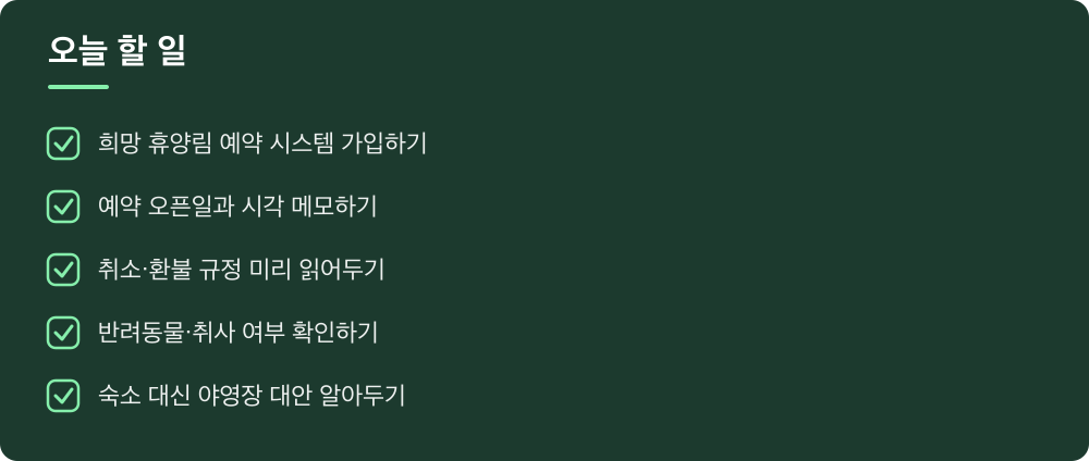 오늘 할 일